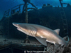 'Ghosts of the Spar' - You might think that you would see... by Tanya Houppermans 